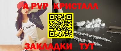 стаф Владимир
