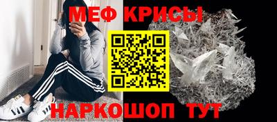 стаф Владимир