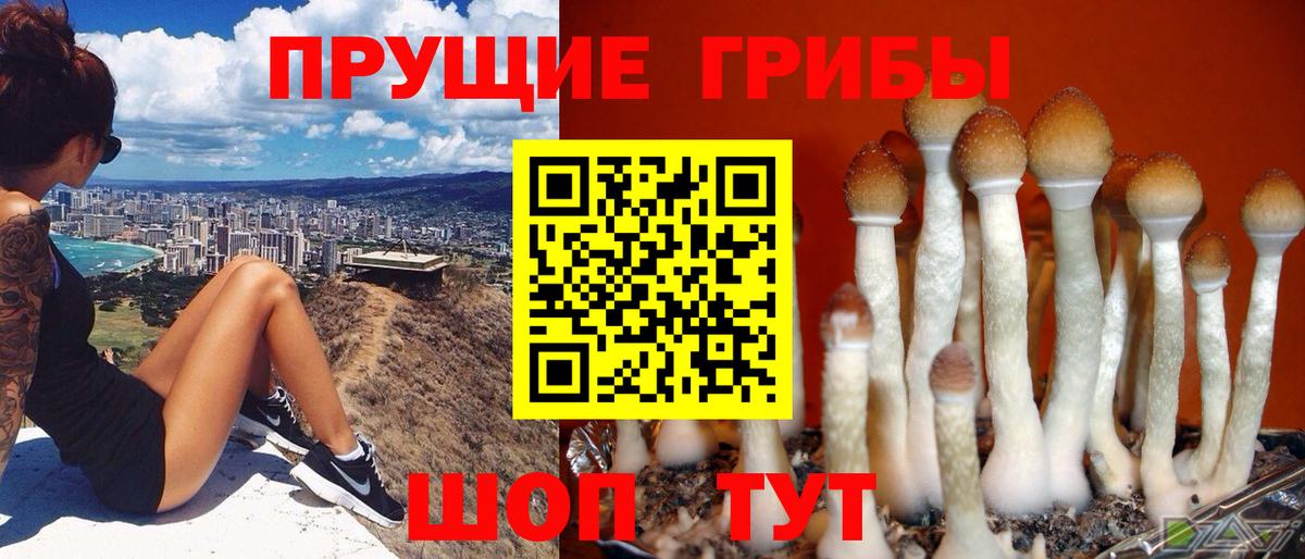 Галлюциногенные грибы мухоморы  где купить наркоту  Вязники  Вход с VPN 