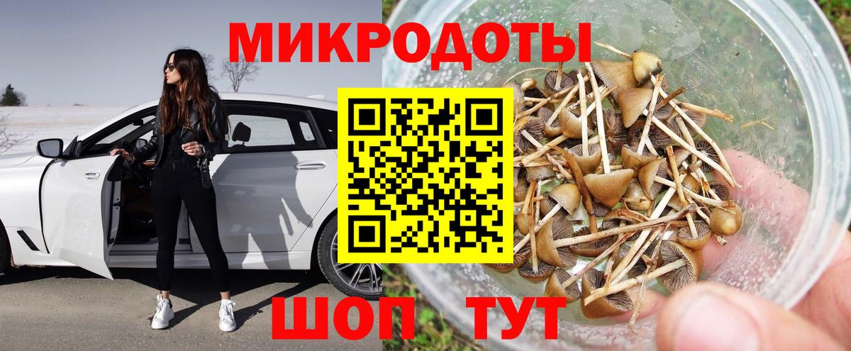 Псилоцибиновые грибы Cubensis Вязники